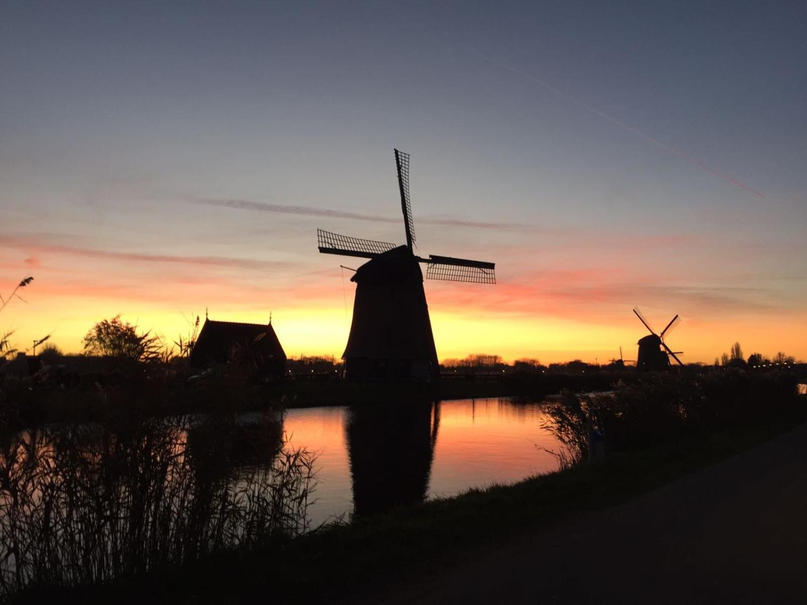 Villa View Alkmaar Bagian luar foto